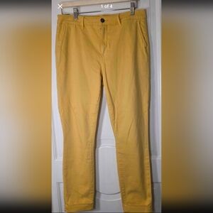 Stitch Fix Cosmic Blue Love Callie Cuffed Skinny Pant-Yellow